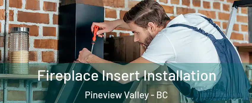  Fireplace Insert Installation Pineview Valley - BC