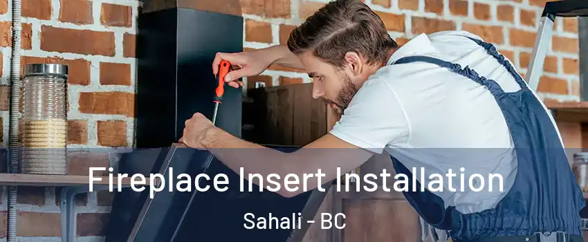  Fireplace Insert Installation Sahali - BC