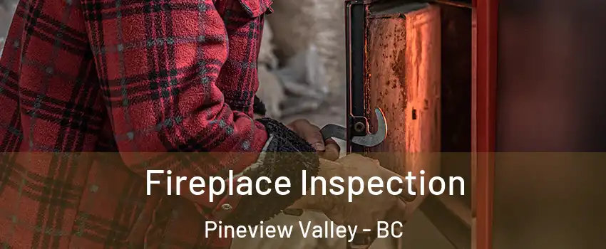  Fireplace Inspection Pineview Valley - BC