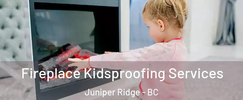  Fireplace Kidsproofing Services Juniper Ridge - BC