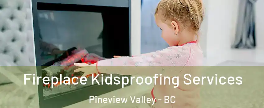  Fireplace Kidsproofing Services Pineview Valley - BC
