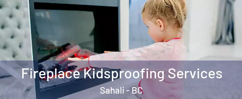  Fireplace Kidsproofing Services Sahali - BC