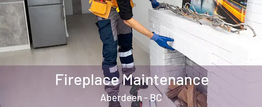  Fireplace Maintenance Aberdeen - BC