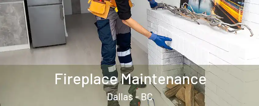  Fireplace Maintenance Dallas - BC