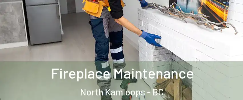  Fireplace Maintenance North Kamloops - BC