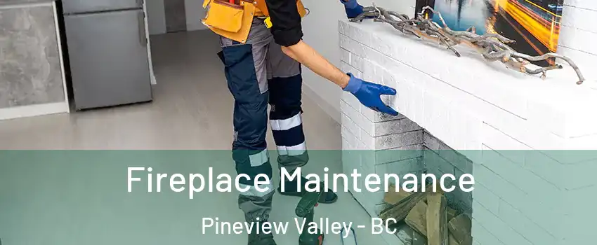  Fireplace Maintenance Pineview Valley - BC
