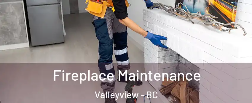  Fireplace Maintenance Valleyview - BC