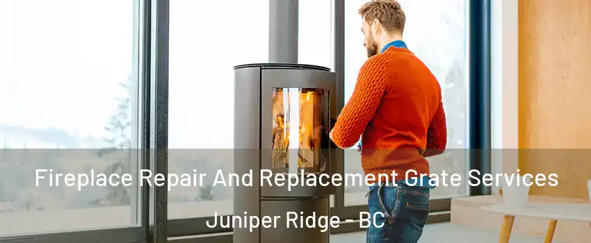  Fireplace Repair And Replacement Grate Services Juniper Ridge - BC