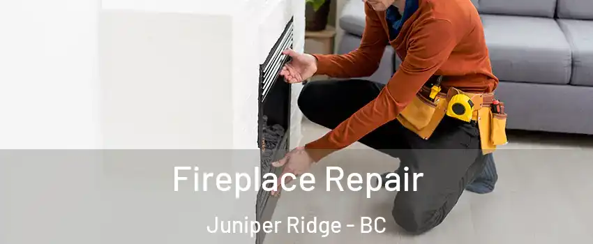  Fireplace Repair Juniper Ridge - BC