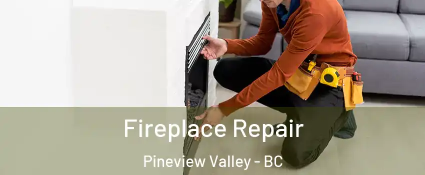  Fireplace Repair Pineview Valley - BC