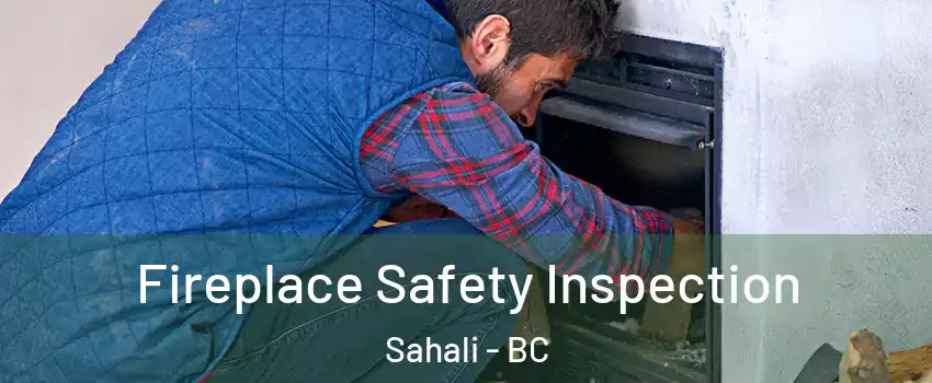  Fireplace Safety Inspection Sahali - BC