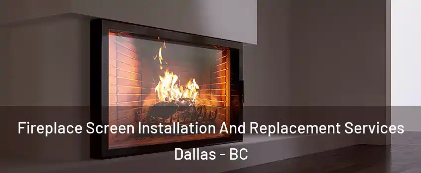  Fireplace Screen Installation And Replacement Services Dallas - BC