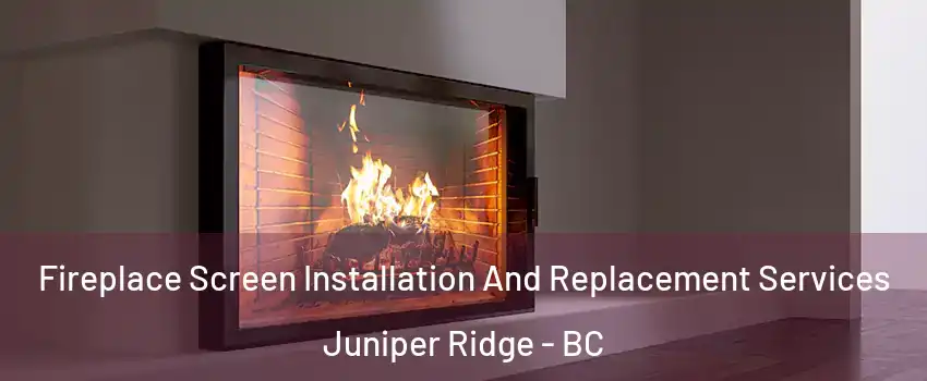 Fireplace Screen Installation And Replacement Services Juniper Ridge - BC