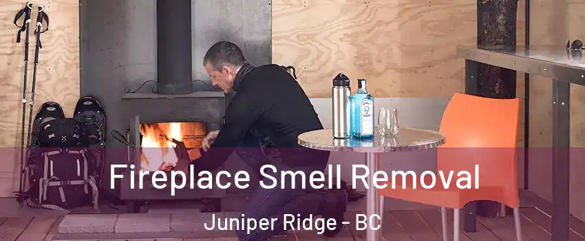  Fireplace Smell Removal Juniper Ridge - BC