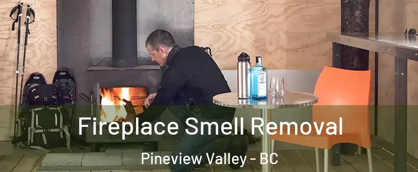  Fireplace Smell Removal Pineview Valley - BC