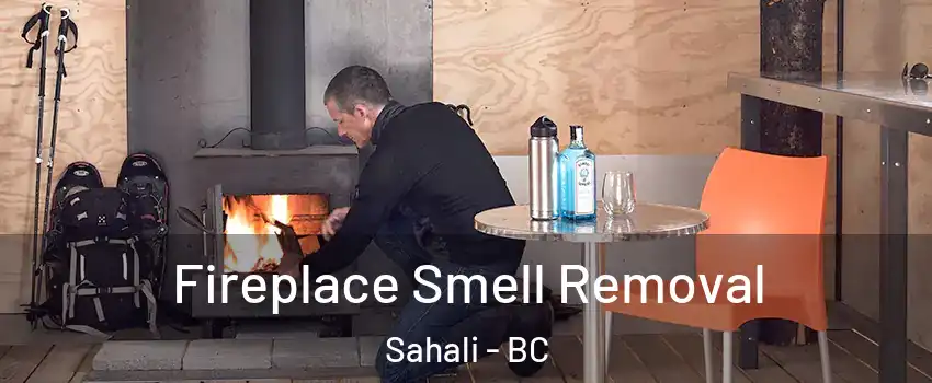  Fireplace Smell Removal Sahali - BC