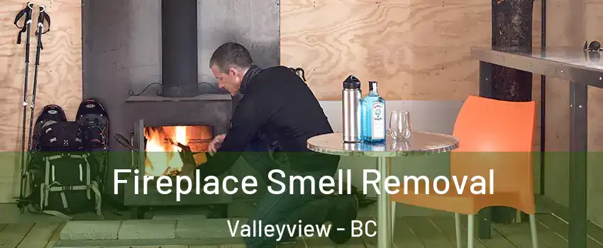 Fireplace Smell Removal Valleyview - BC