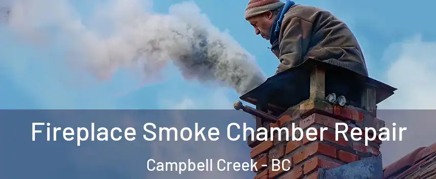  Fireplace Smoke Chamber Repair Campbell Creek - BC