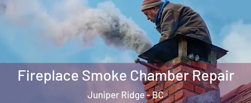  Fireplace Smoke Chamber Repair Juniper Ridge - BC