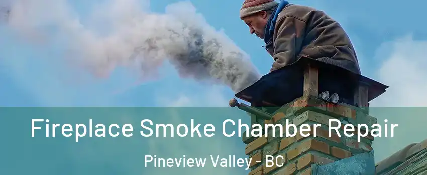  Fireplace Smoke Chamber Repair Pineview Valley - BC