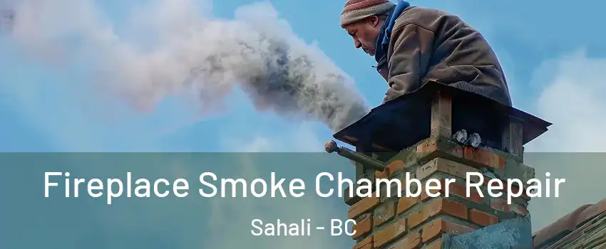  Fireplace Smoke Chamber Repair Sahali - BC