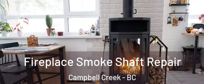  Fireplace Smoke Shaft Repair Campbell Creek - BC