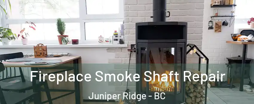  Fireplace Smoke Shaft Repair Juniper Ridge - BC