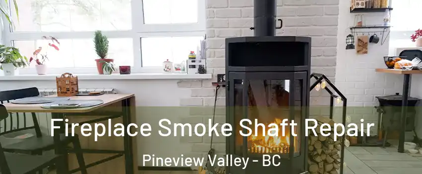  Fireplace Smoke Shaft Repair Pineview Valley - BC