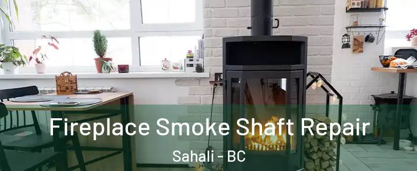  Fireplace Smoke Shaft Repair Sahali - BC