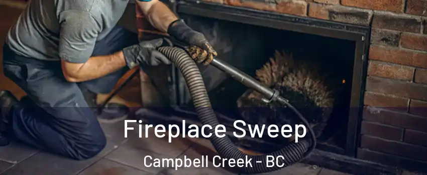  Fireplace Sweep Campbell Creek - BC
