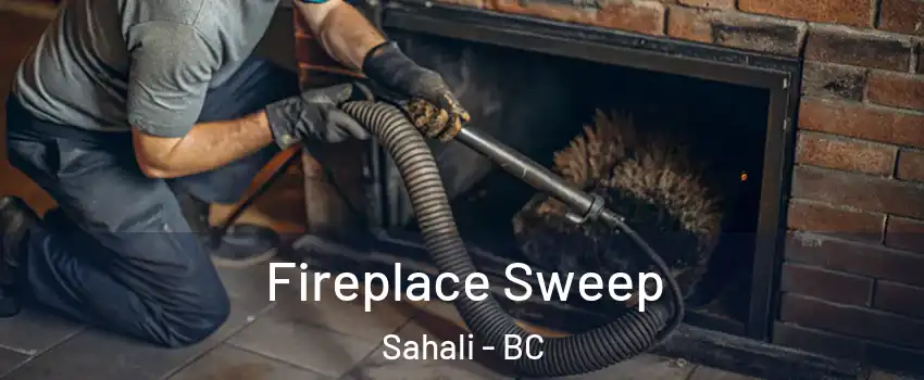  Fireplace Sweep Sahali - BC