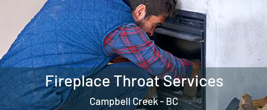  Fireplace Throat Services Campbell Creek - BC