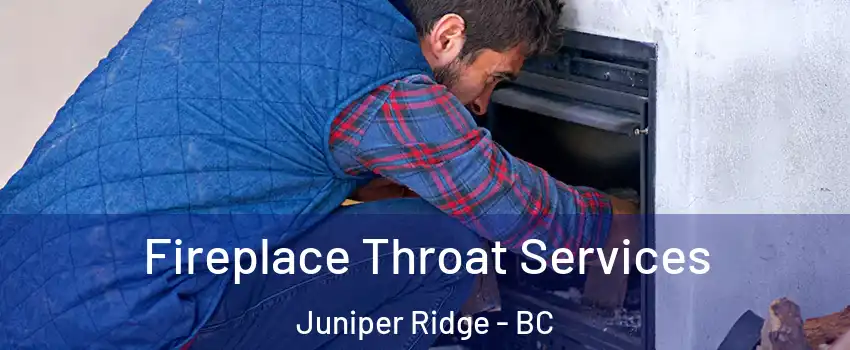  Fireplace Throat Services Juniper Ridge - BC