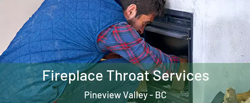  Fireplace Throat Services Pineview Valley - BC
