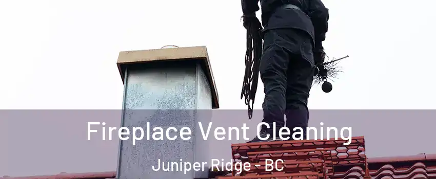  Fireplace Vent Cleaning Juniper Ridge - BC