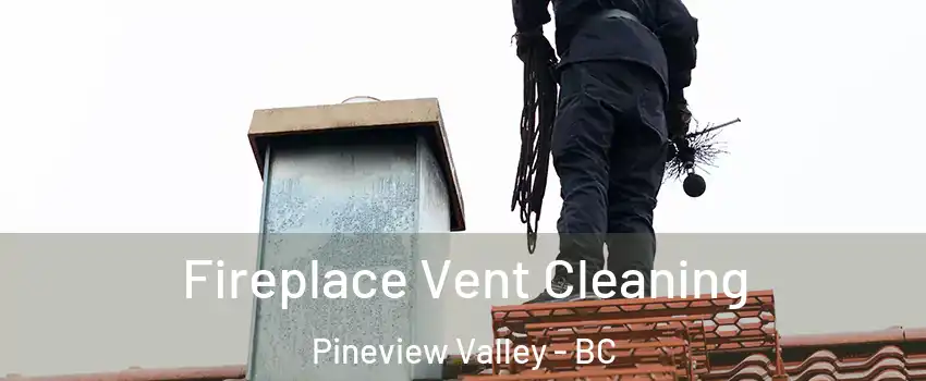 Fireplace Vent Cleaning Pineview Valley - BC