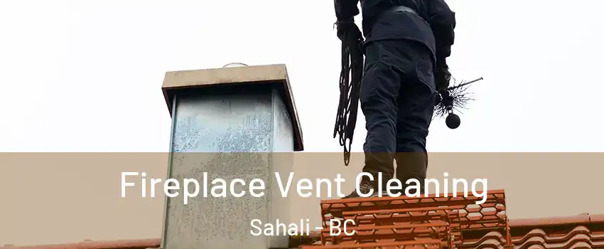  Fireplace Vent Cleaning Sahali - BC