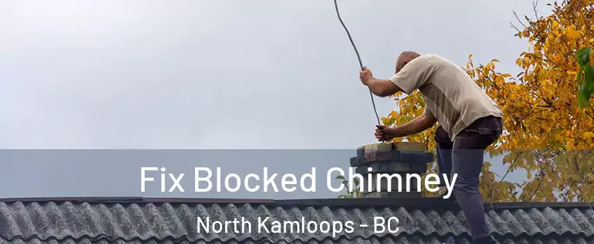  Fix Blocked Chimney North Kamloops - BC