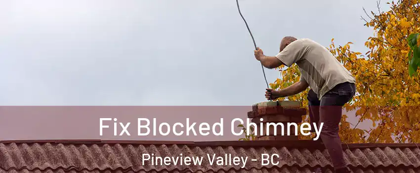  Fix Blocked Chimney Pineview Valley - BC