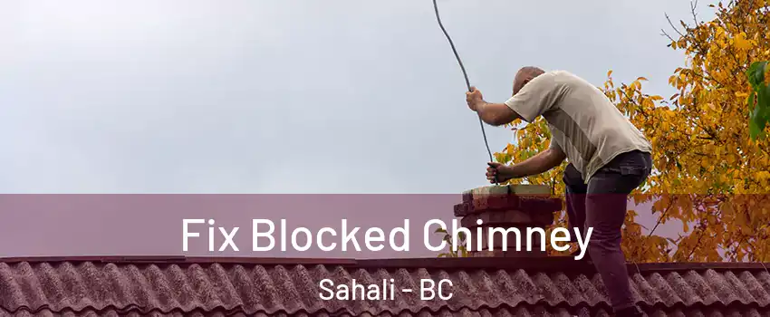  Fix Blocked Chimney Sahali - BC