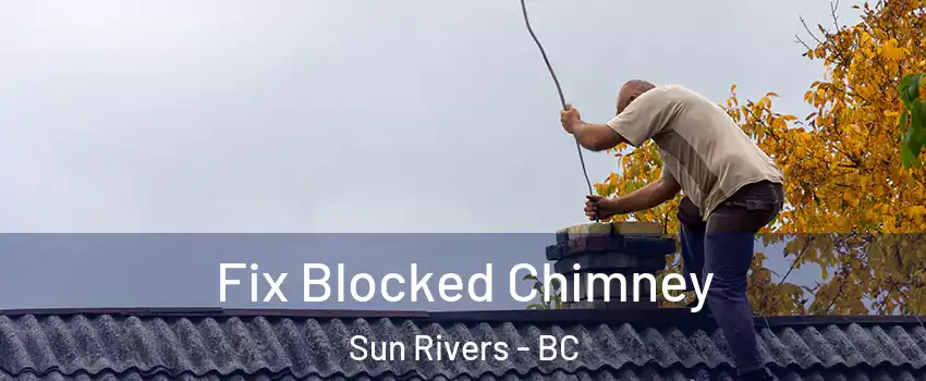  Fix Blocked Chimney Sun Rivers - BC