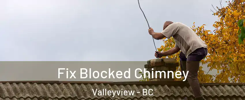  Fix Blocked Chimney Valleyview - BC