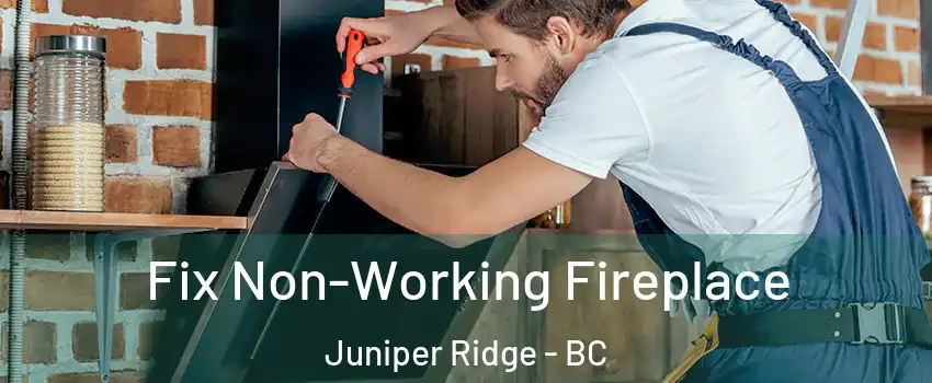  Fix Non-Working Fireplace Juniper Ridge - BC