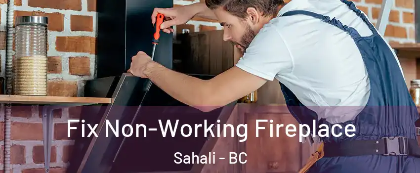  Fix Non-Working Fireplace Sahali - BC
