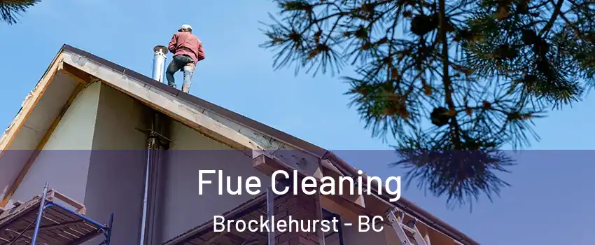  Flue Cleaning Brocklehurst - BC