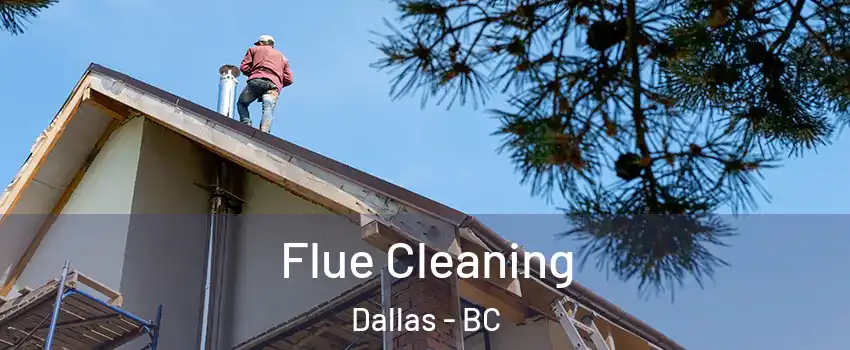  Flue Cleaning Dallas - BC
