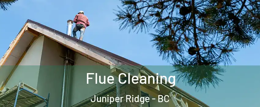  Flue Cleaning Juniper Ridge - BC
