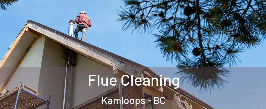  Flue Cleaning Kamloops - BC