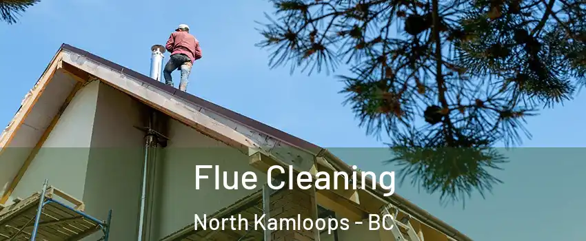  Flue Cleaning North Kamloops - BC