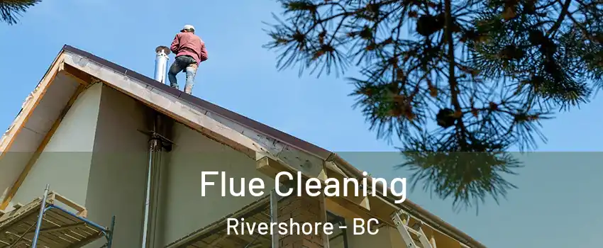  Flue Cleaning Rivershore - BC